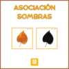 Tarjetas asociación sombras otoño