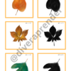 Tarjetas asociación sombras otoño - Imagen 2