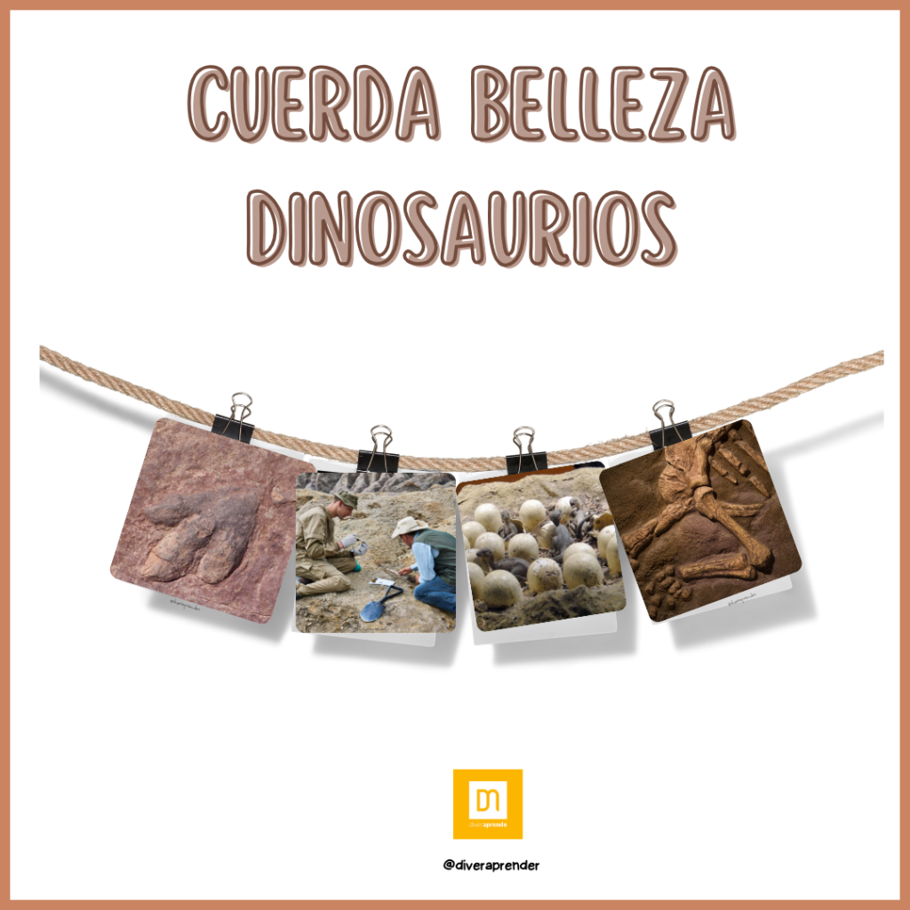 CUERDA BELLEZA DINOSAURIOS