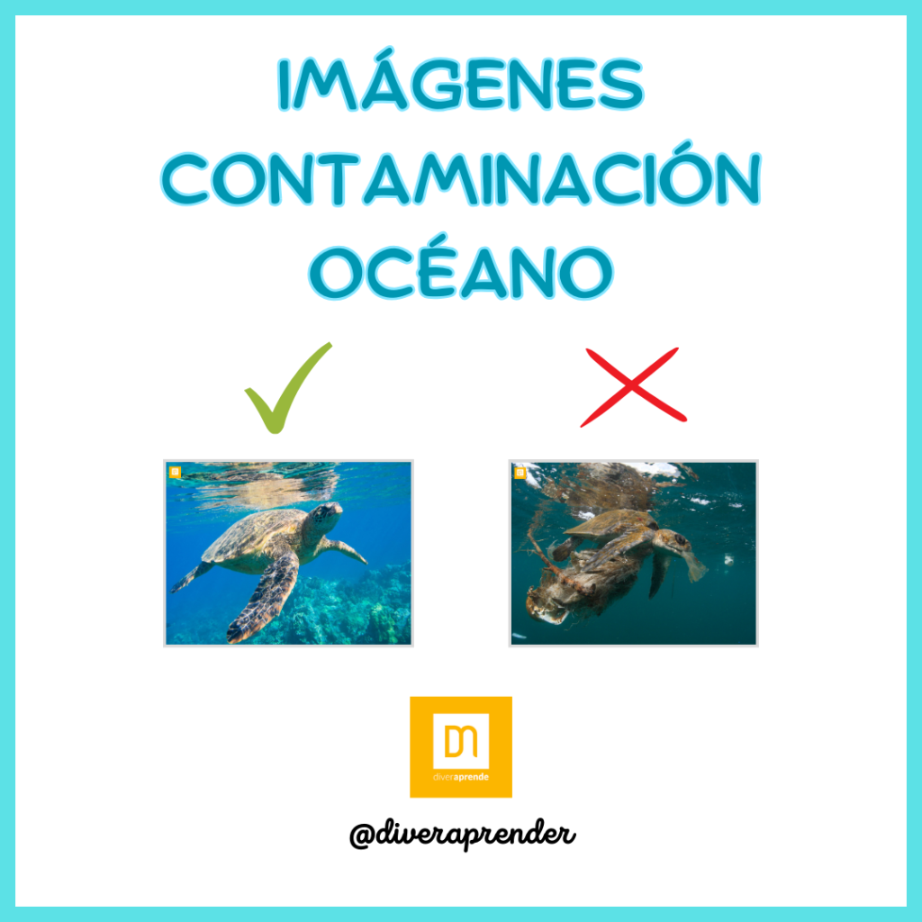 Tarjetas contaminación fondo marino
