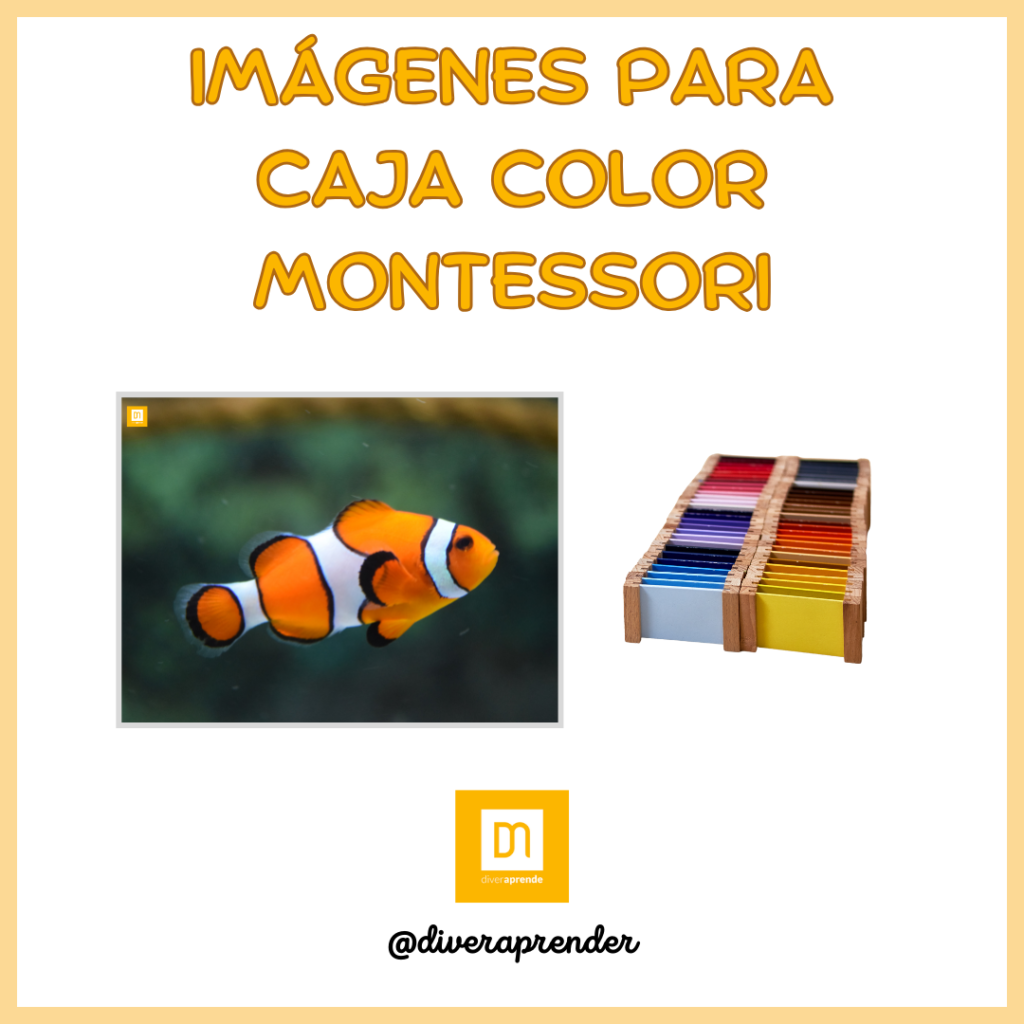 Tarjetas fondo marino caja de color Montessori