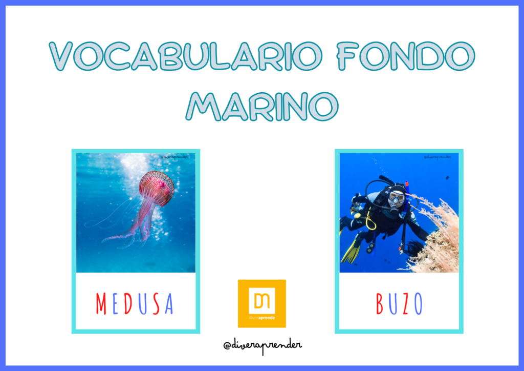 Vocabulario fondo marino