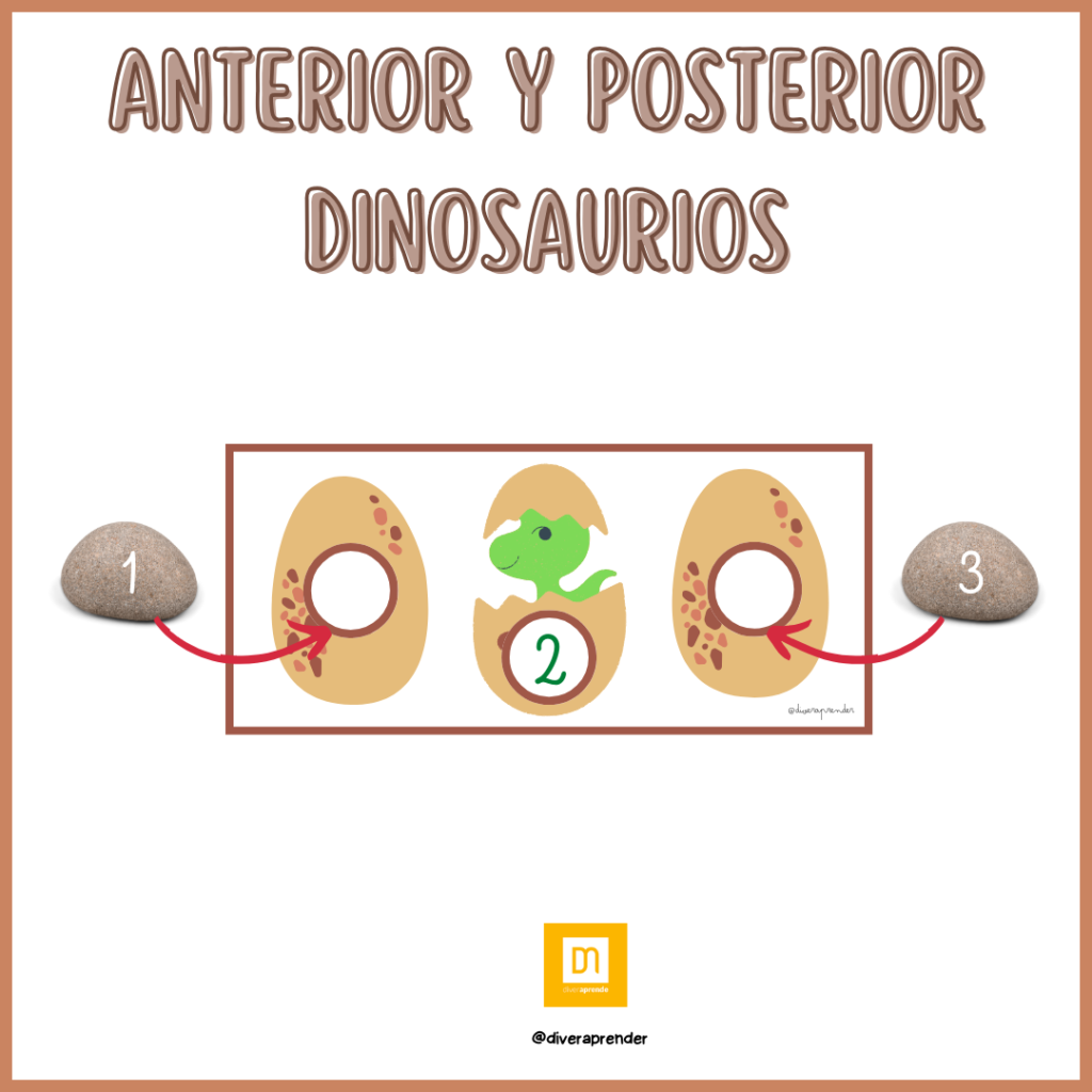 ANTERIOR Y POSTERIOR DINOSAURIOS