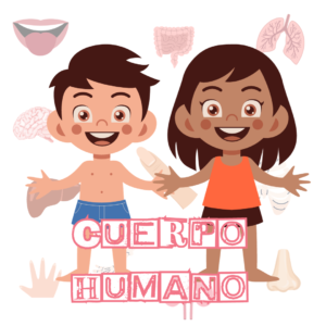 Cuerpo humano