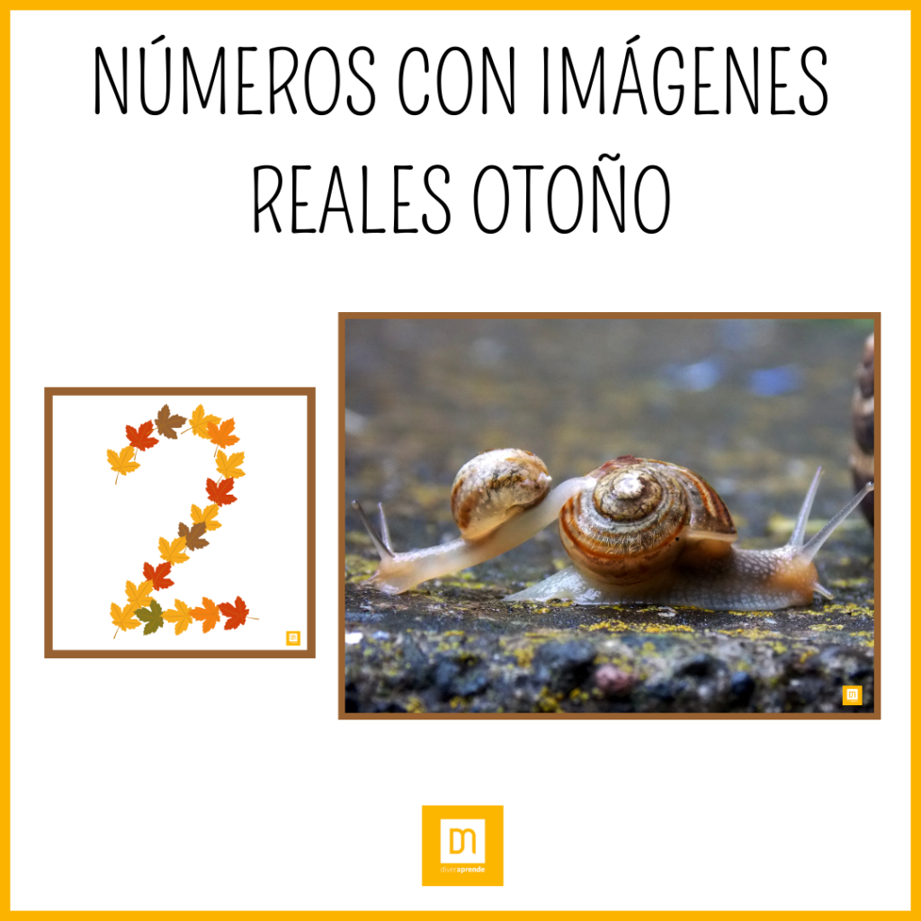 Números con imágenes reales otoño