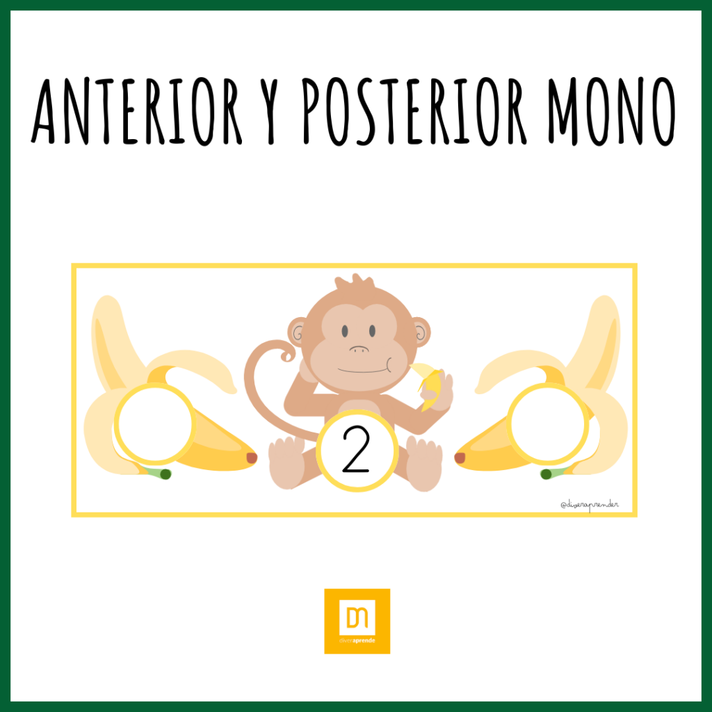 Anterior y posterior mono
