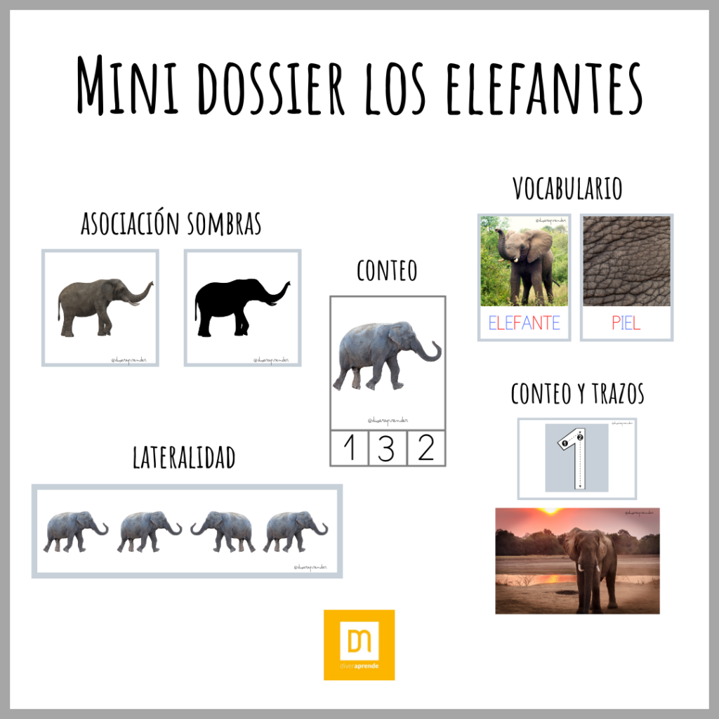 Mini dossier elefantes