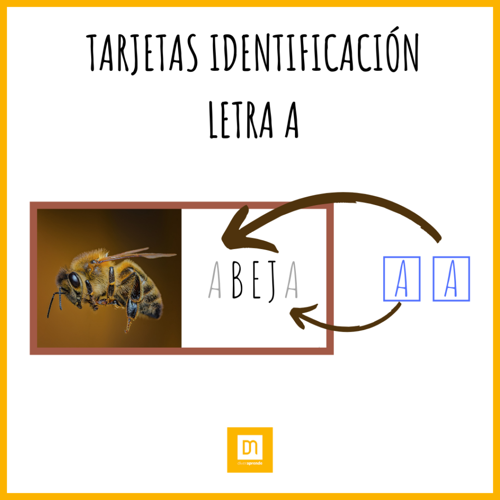 Tarjeta identificación vocal A