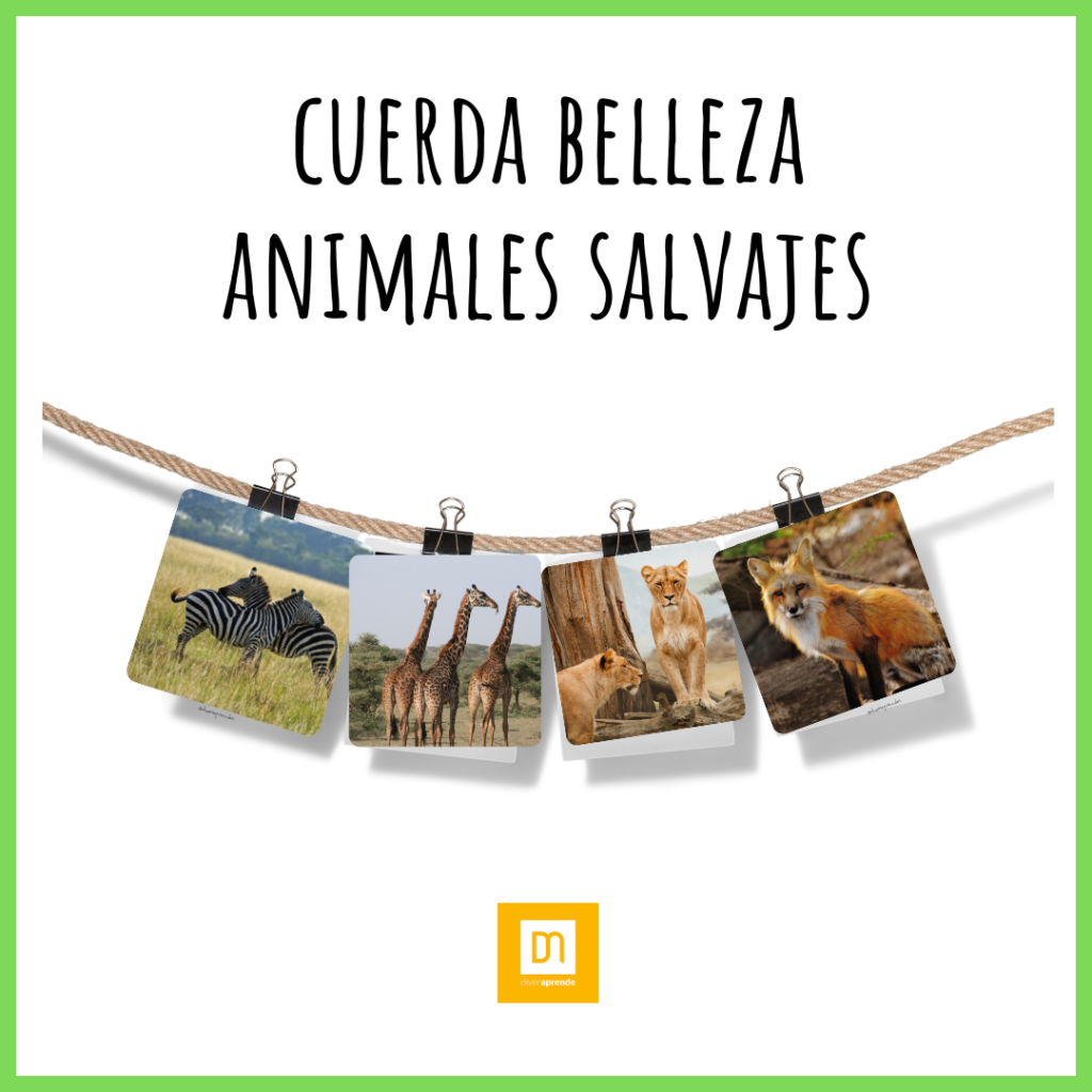 Cuerda belleza animales salvajes