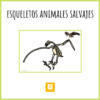 Esqueletos animales salvajes