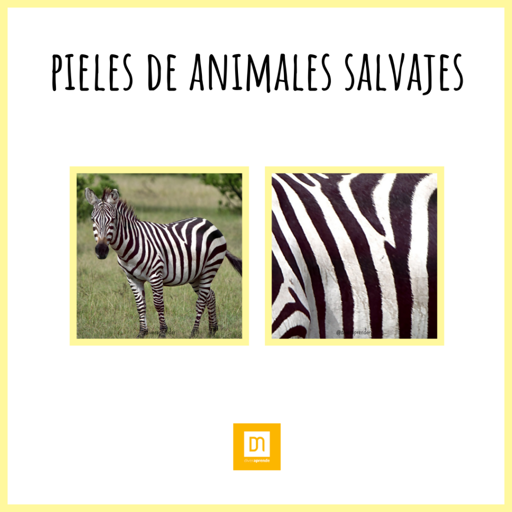 Pieles animales salvajes