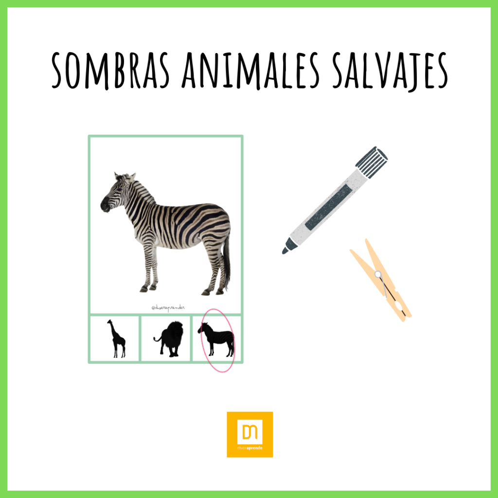 Asociación sombras animales salvajes