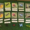 Tarjetas tres partes bichos: imágenes reales y Safari toobs - Imagen 4