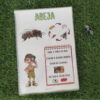 Mi libro de insectos - Imagen 4