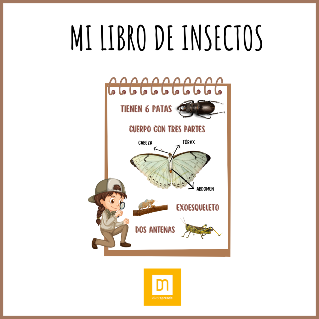 Mi libro de insectos