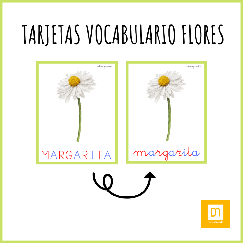 Tarjetas vocabulario flores – Diveraprender