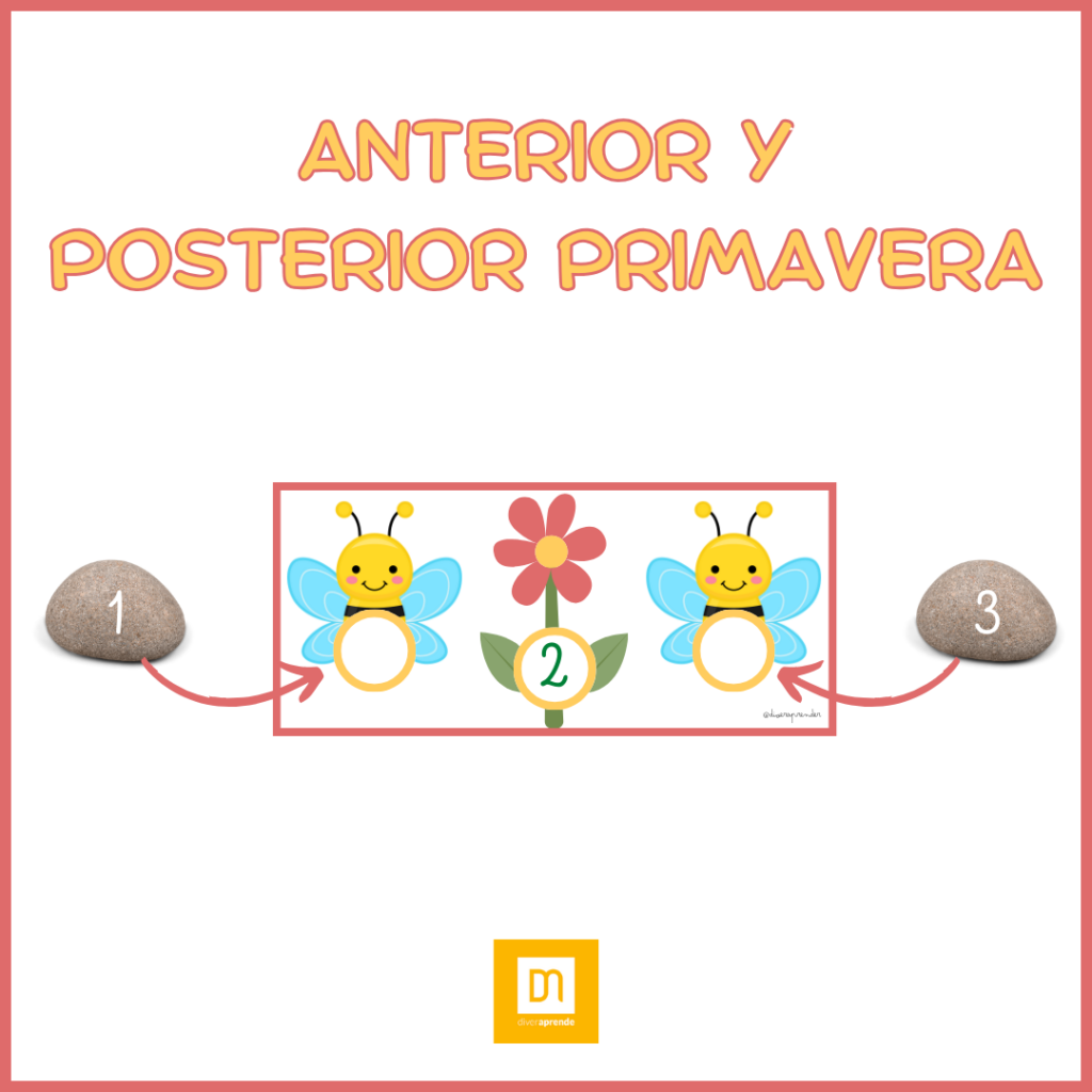 Anterior y posterior abejas